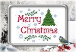 (image for) Merry Christmas